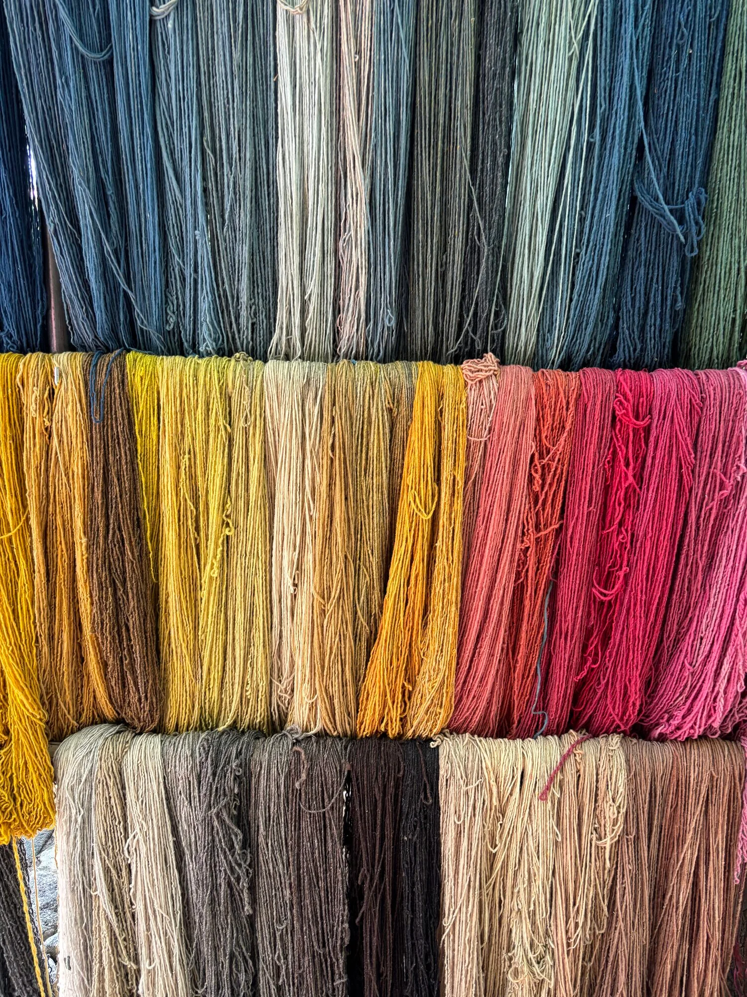 Naturally dyed yarn in vibrant colors